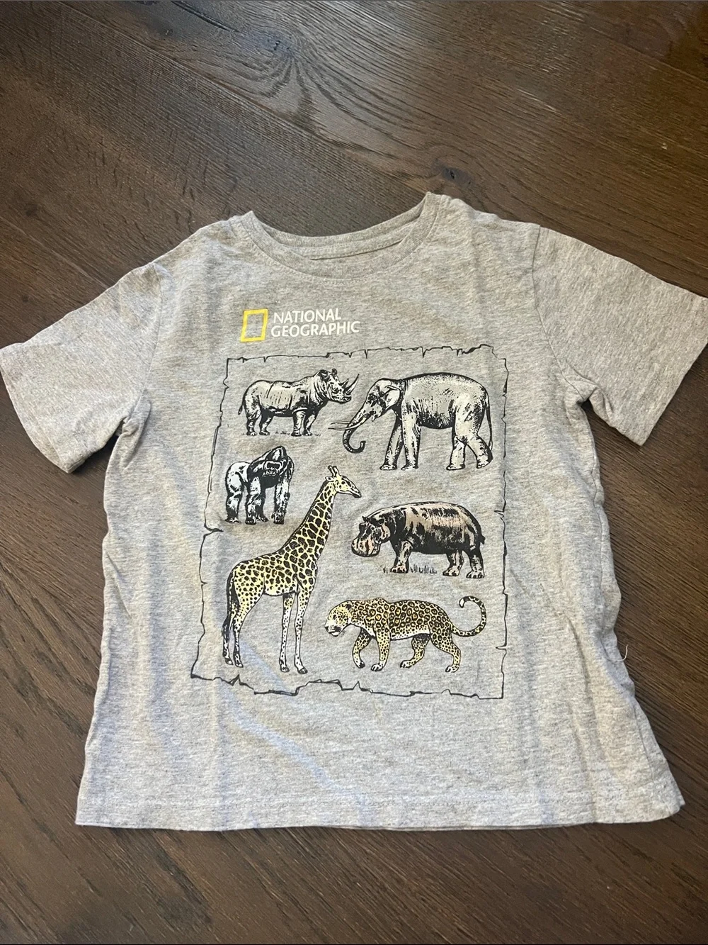 GAP National Geographic Kids Light Gray Animal Panel Tee with Yellow Logo